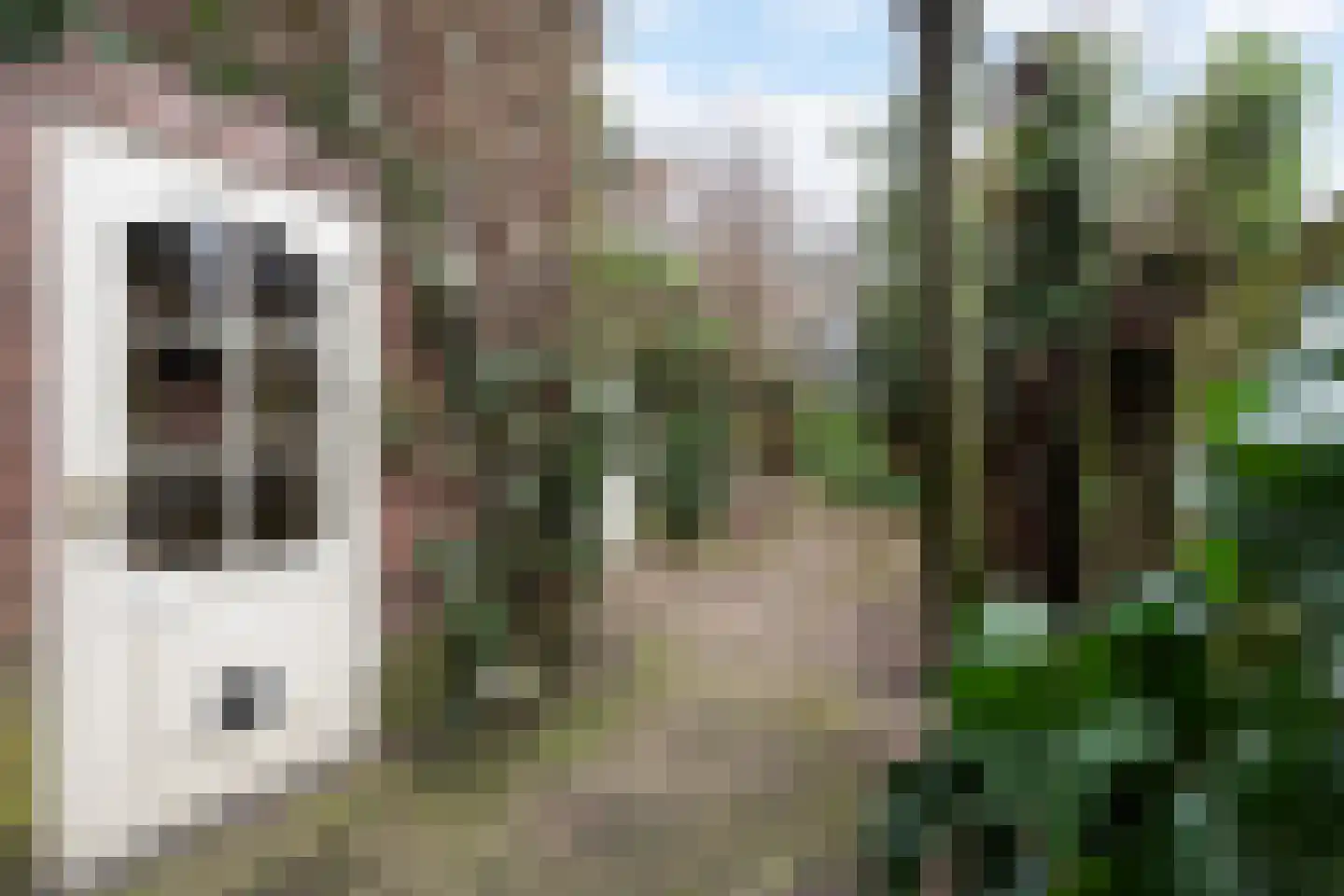 Julianalaan 33 Soest thumbnail 23
