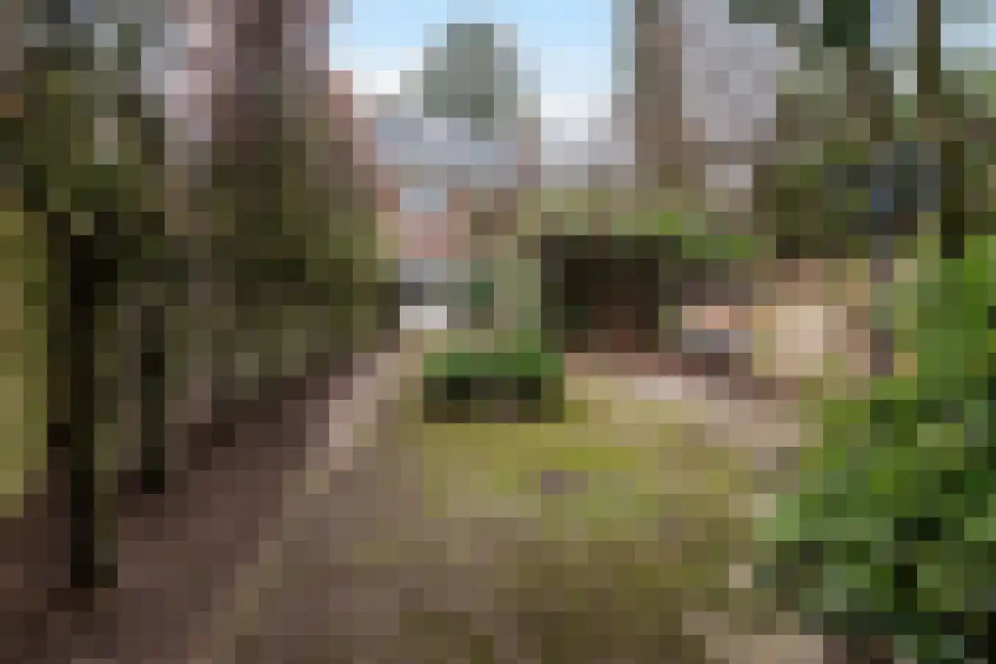 Julianalaan 33 Soest thumbnail 24