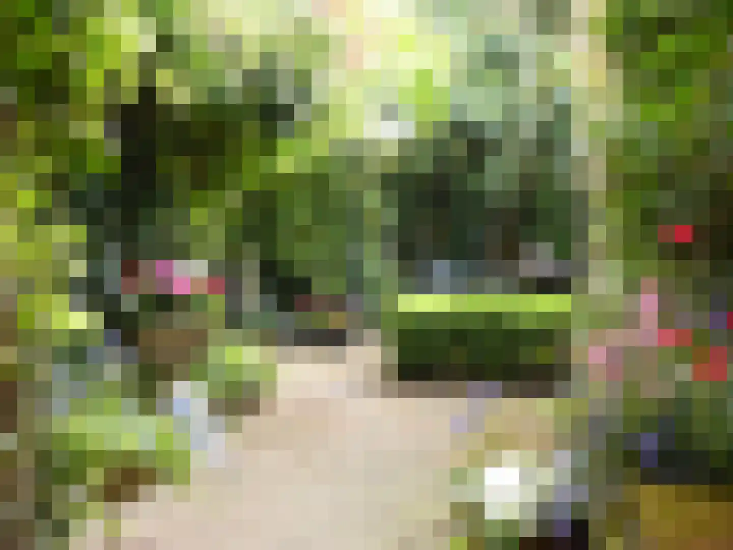 Julianalaan 33 Soest thumbnail 26