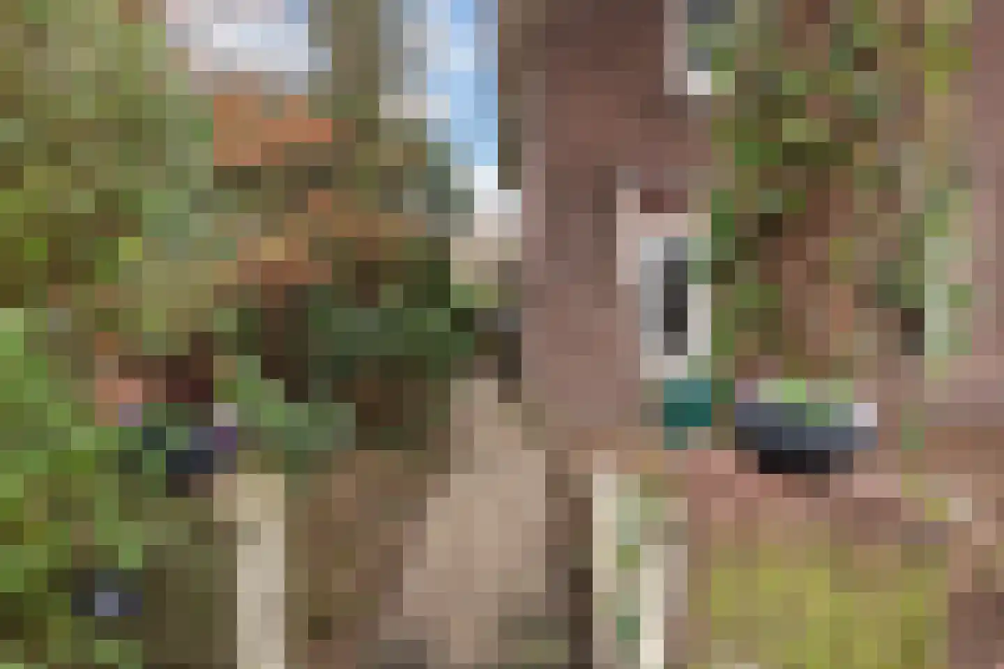 Julianalaan 33 Soest thumbnail 27