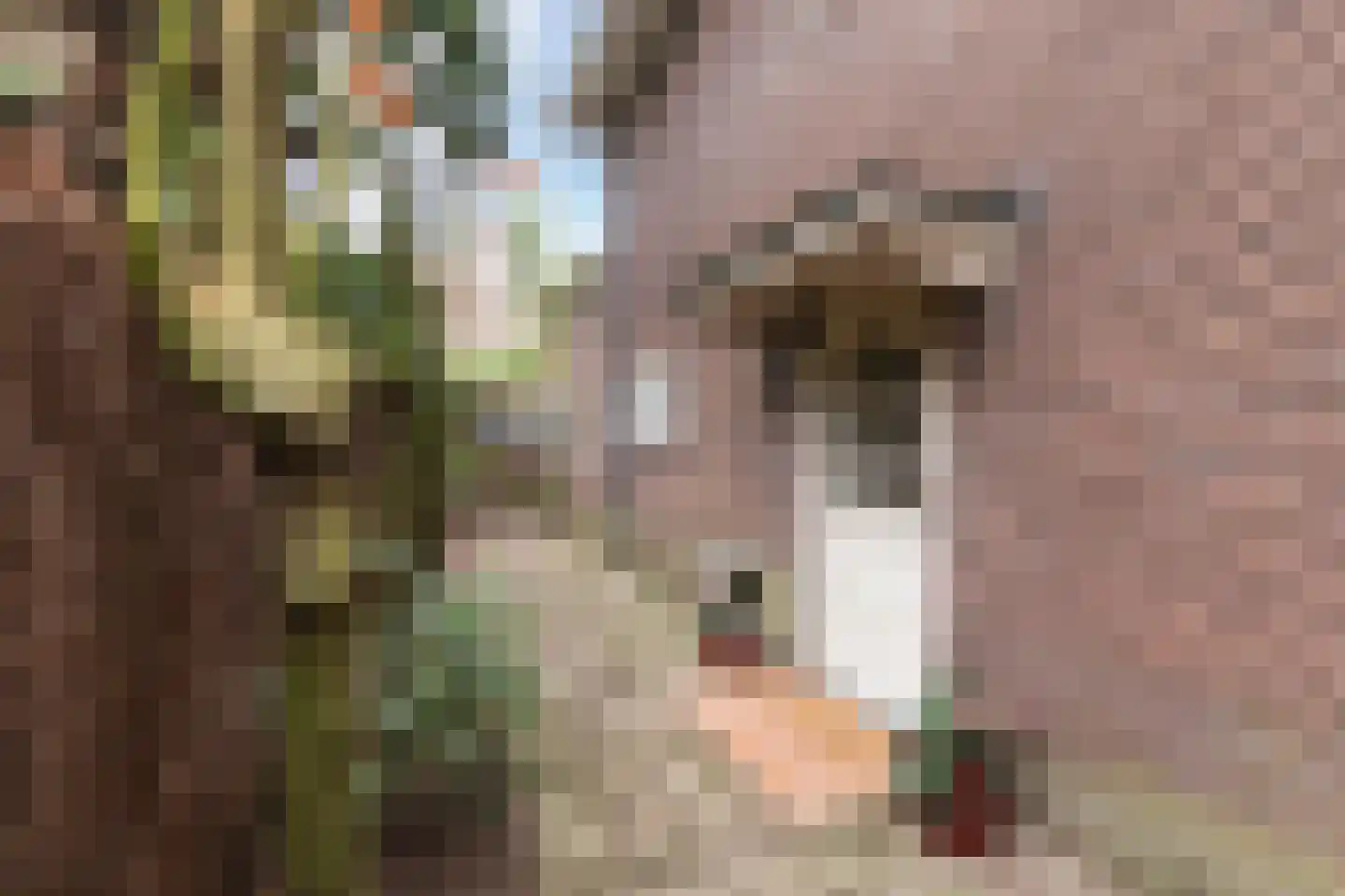 Julianalaan 33 Soest thumbnail 4