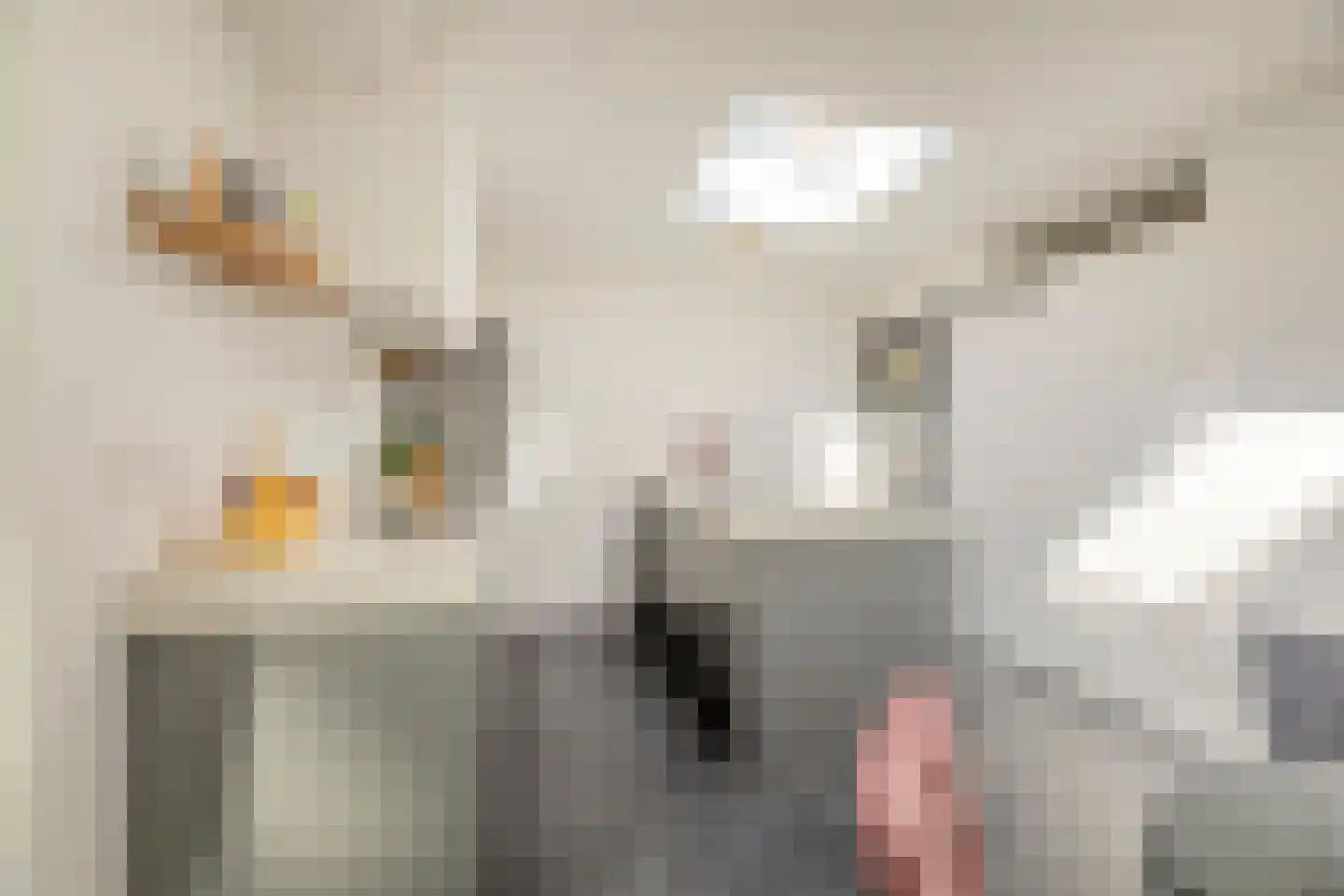 Julianalaan 34 A Oosterhout thumbnail 14