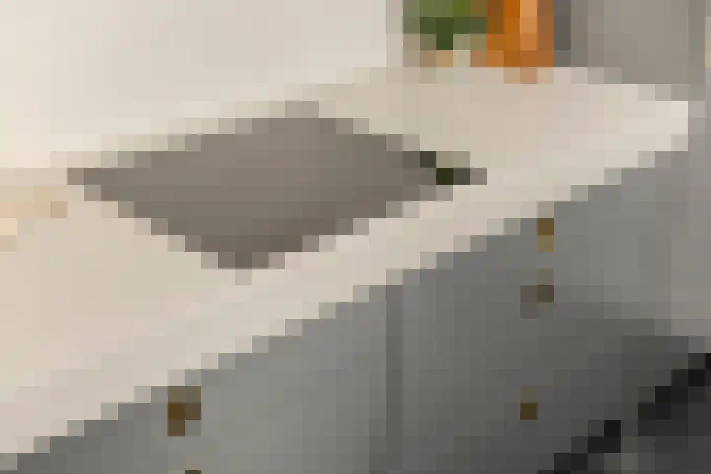 Julianalaan 34 A Oosterhout thumbnail 18