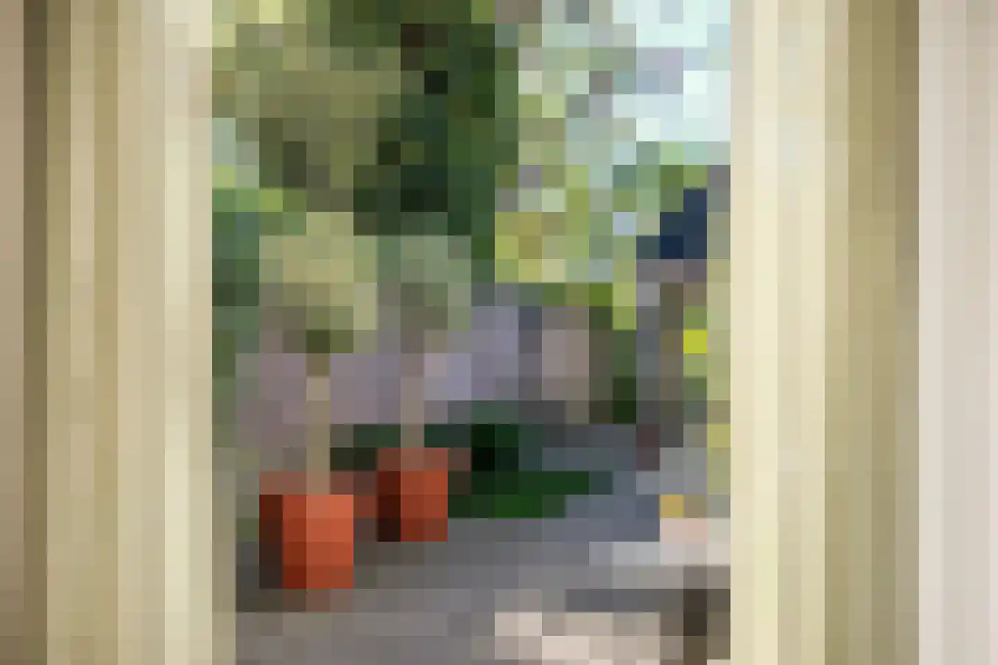 Julianalaan 34 A Oosterhout thumbnail 21