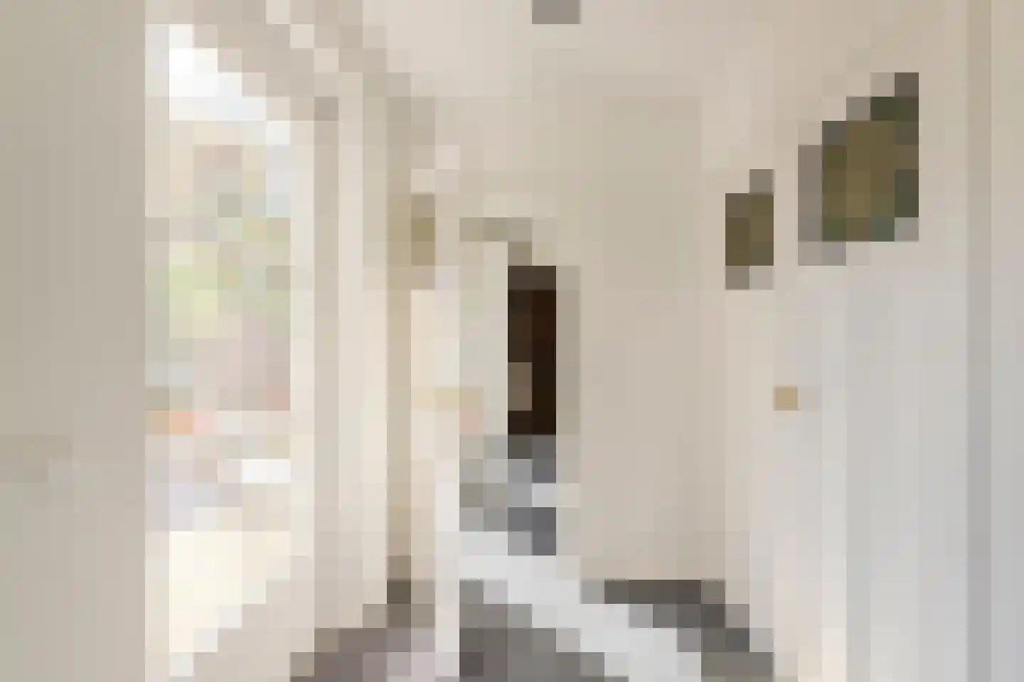 Julianalaan 34 A Oosterhout thumbnail 23
