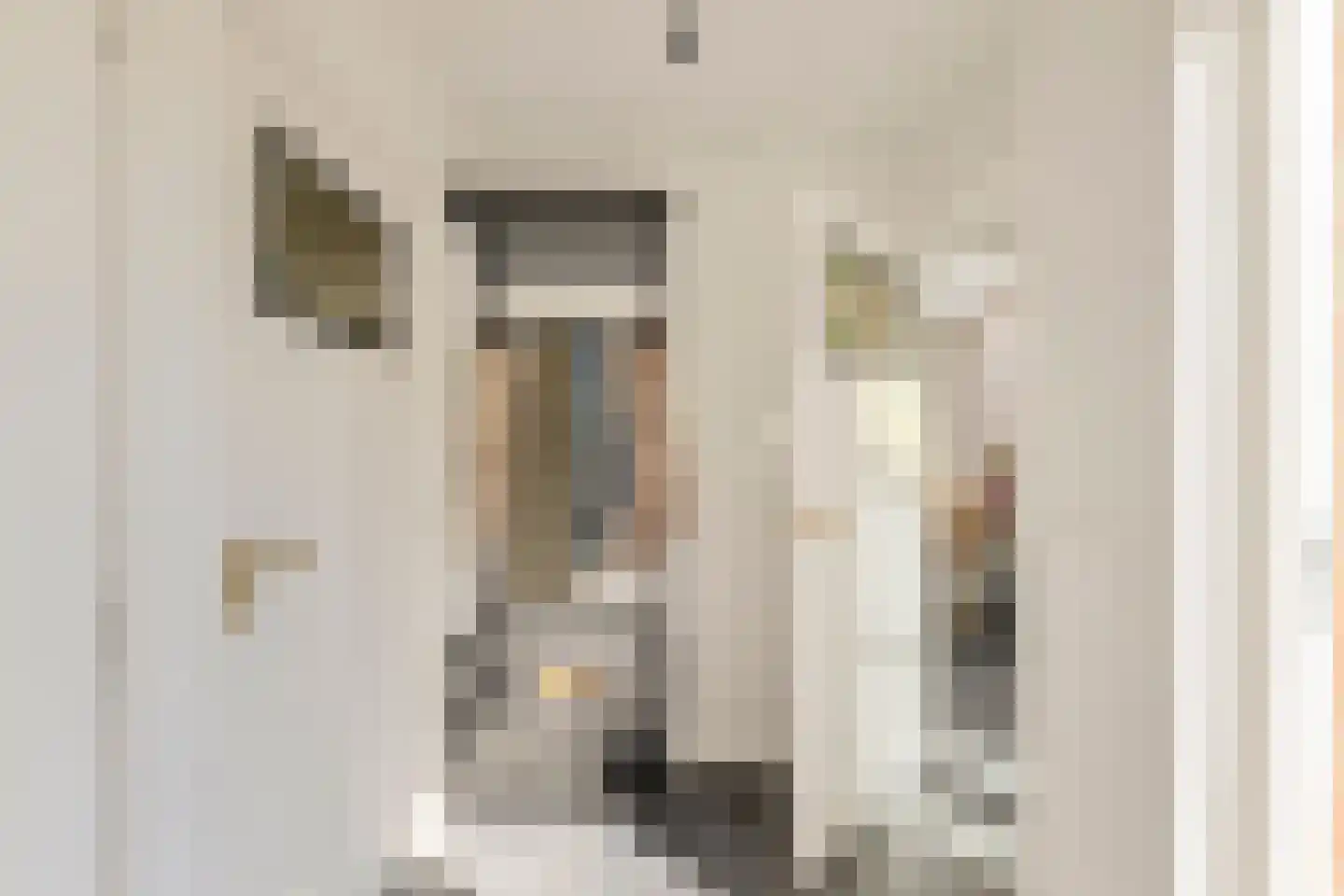 Julianalaan 34 A Oosterhout thumbnail 24