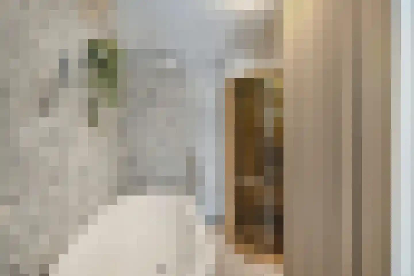 Julianalaan 34 A Oosterhout thumbnail 29