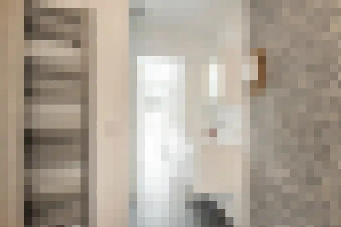 Julianalaan 34 A Oosterhout thumbnail 30