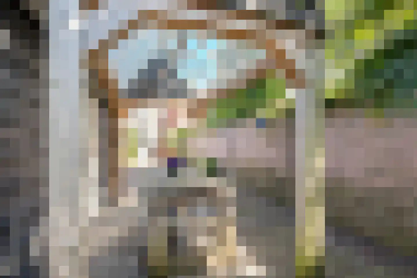 Julianalaan 34 A Oosterhout thumbnail 48