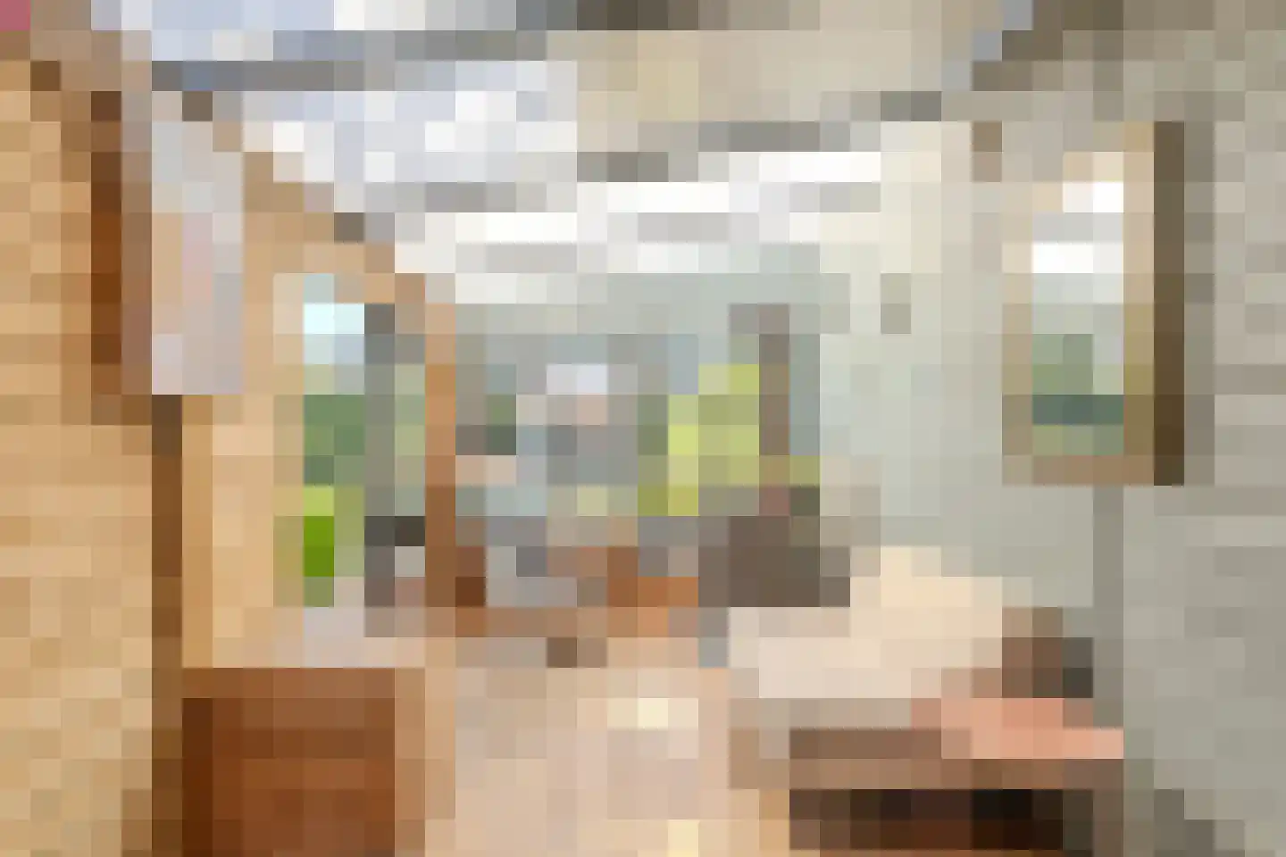 Julianalaan 34 A Oosterhout thumbnail 59
