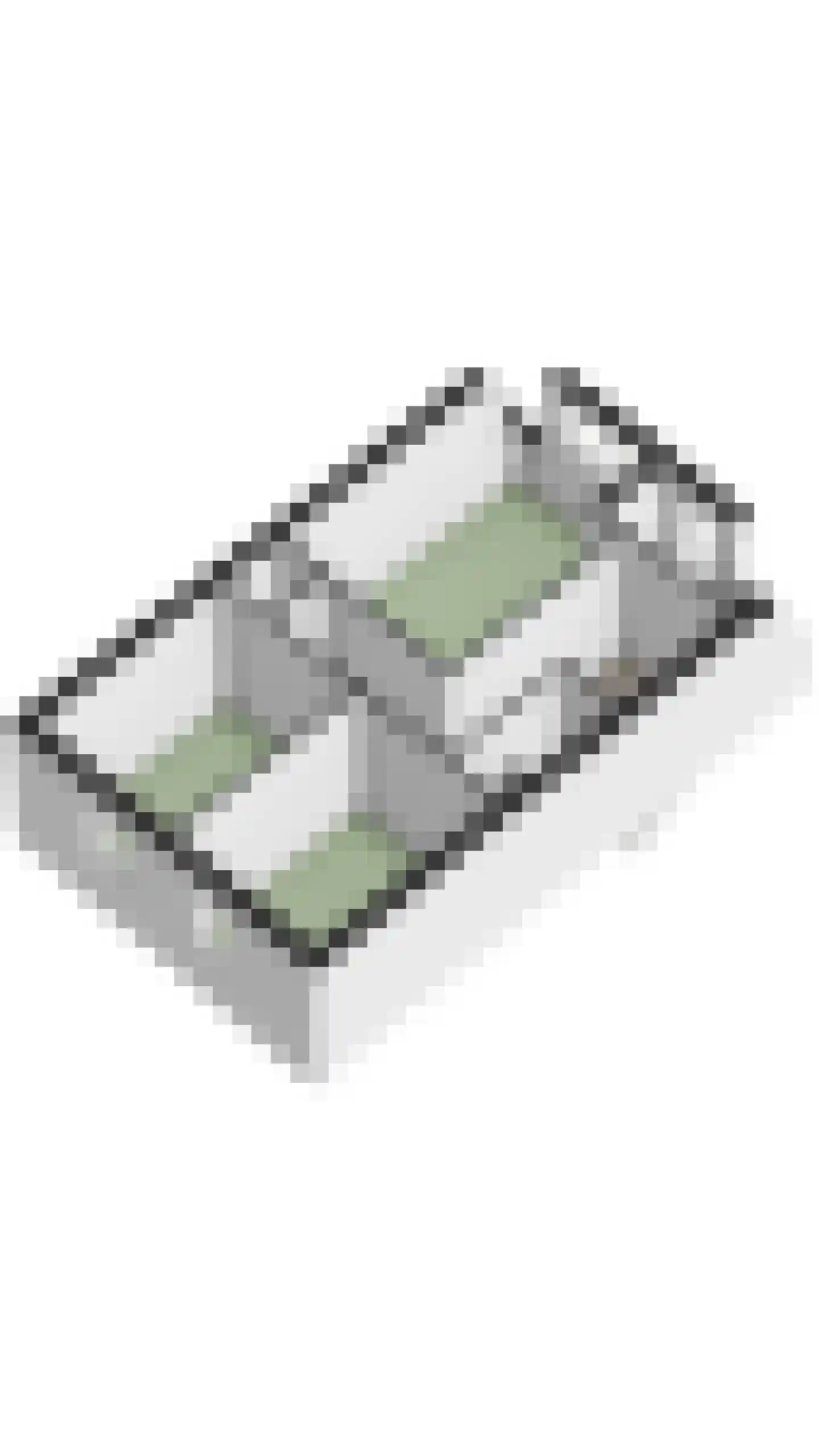 Julianalaan 34 A Oosterhout thumbnail 73