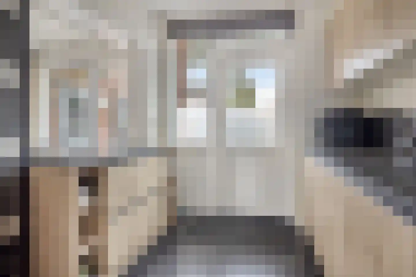 Julianalaan 34 Hulst thumbnail 10