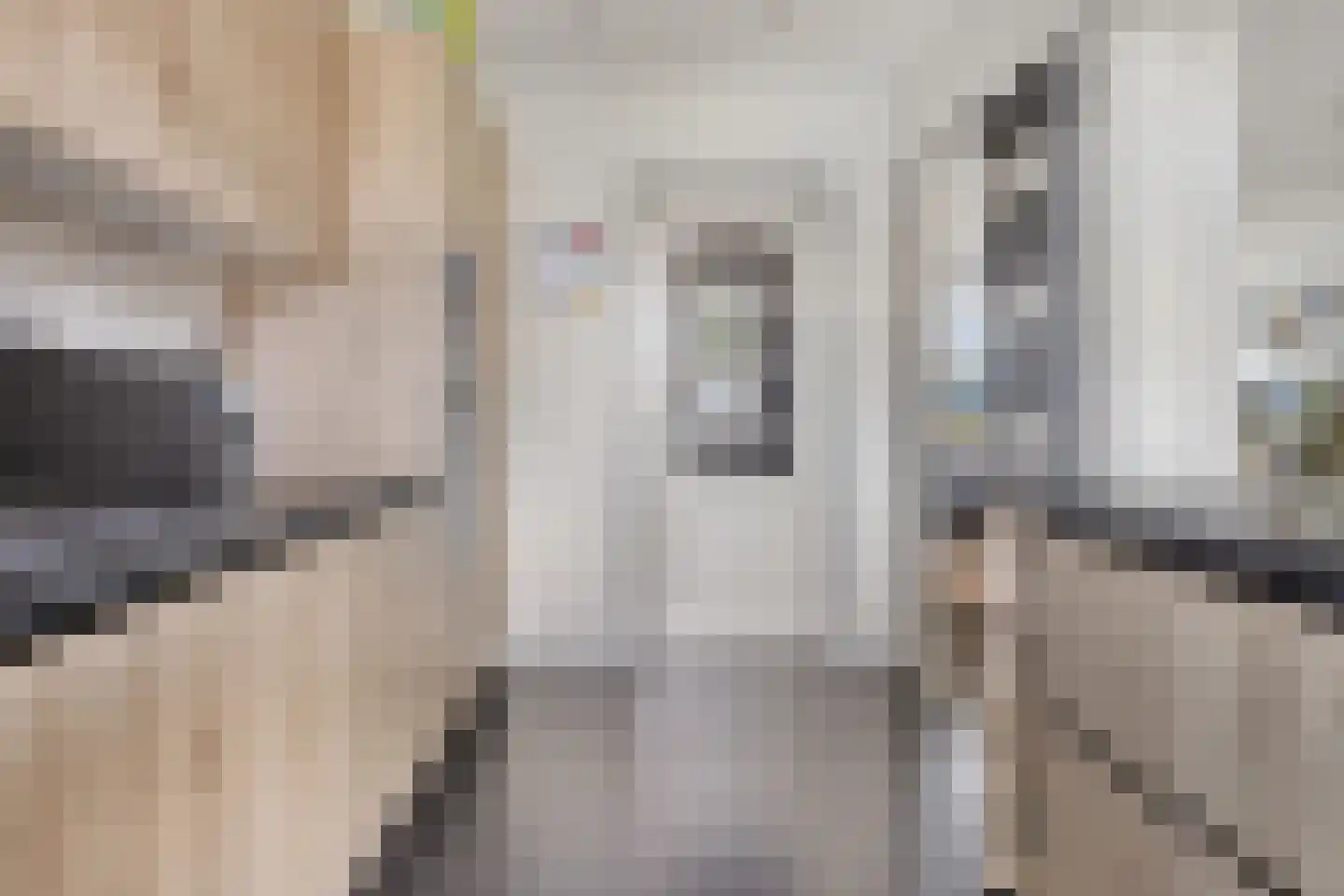 Julianalaan 34 Hulst thumbnail 12