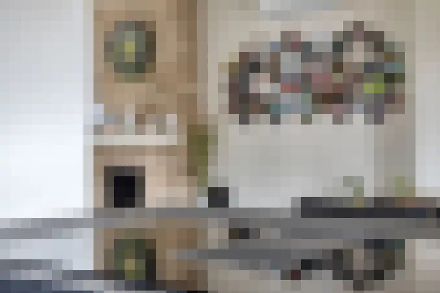 Julianalaan 34 Hulst thumbnail 13