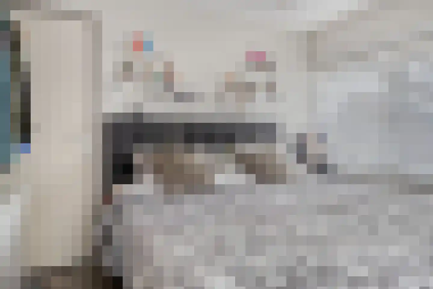 Julianalaan 34 Hulst thumbnail 16