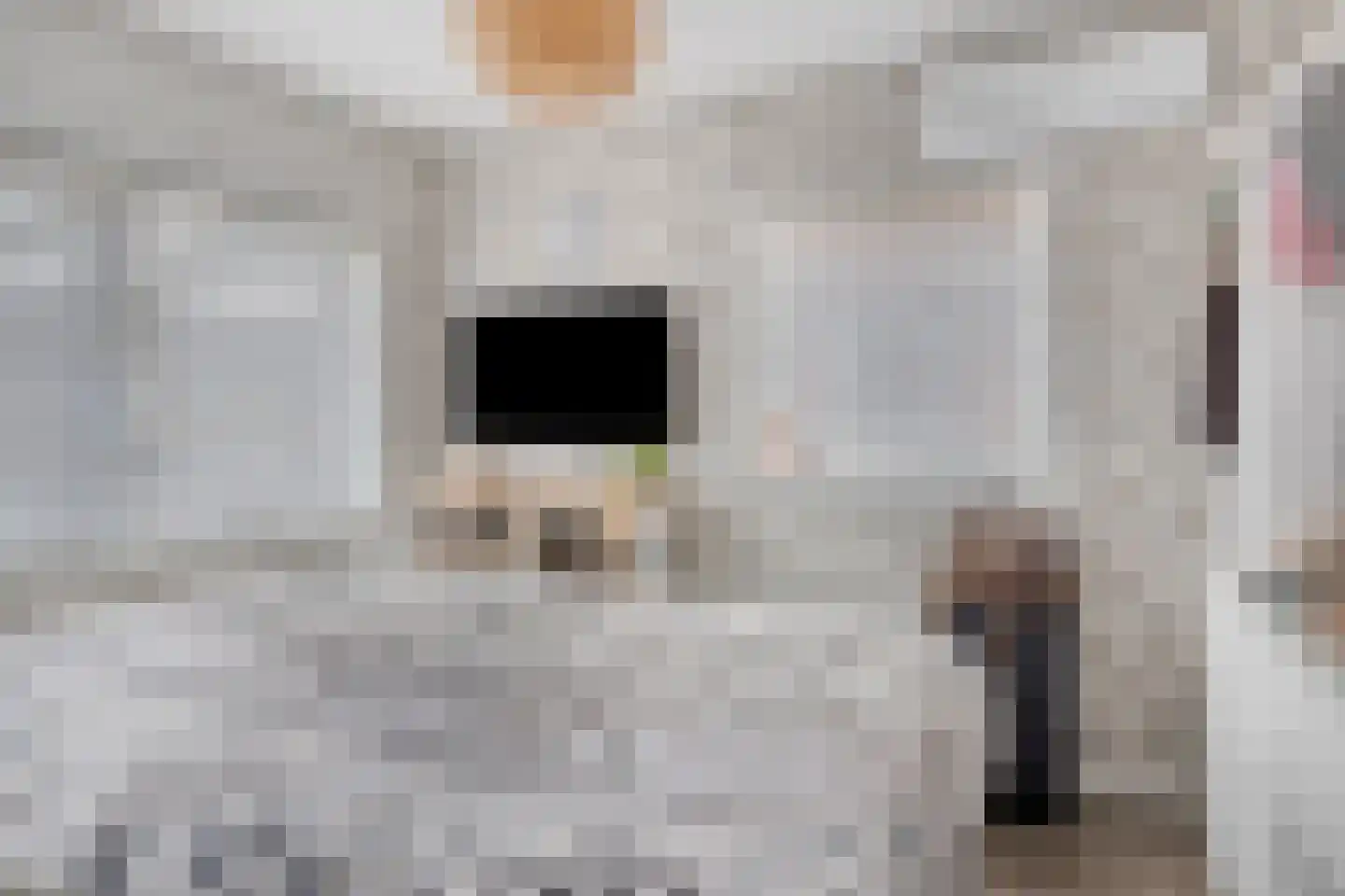 Julianalaan 34 Hulst thumbnail 17