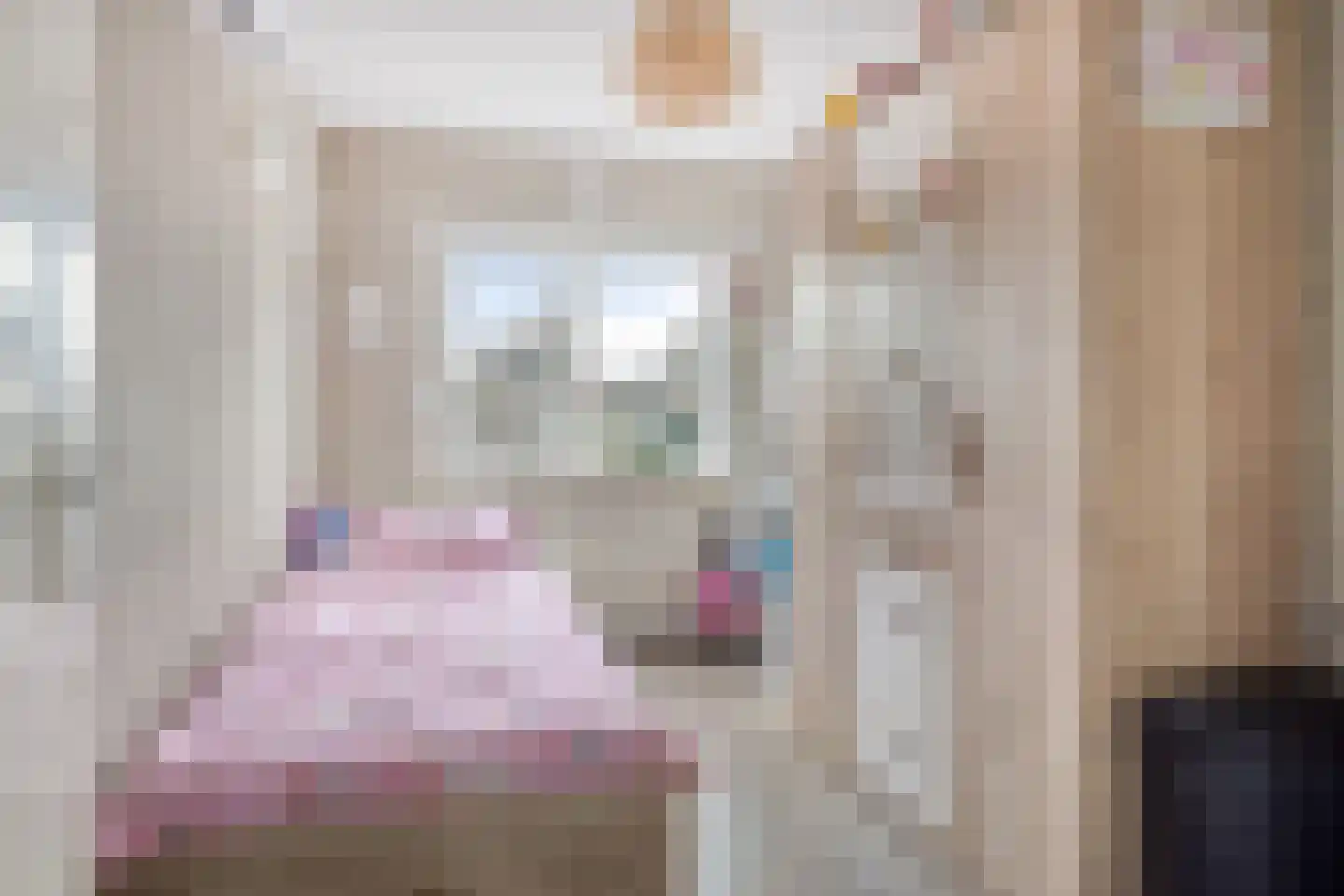 Julianalaan 34 Hulst thumbnail 18
