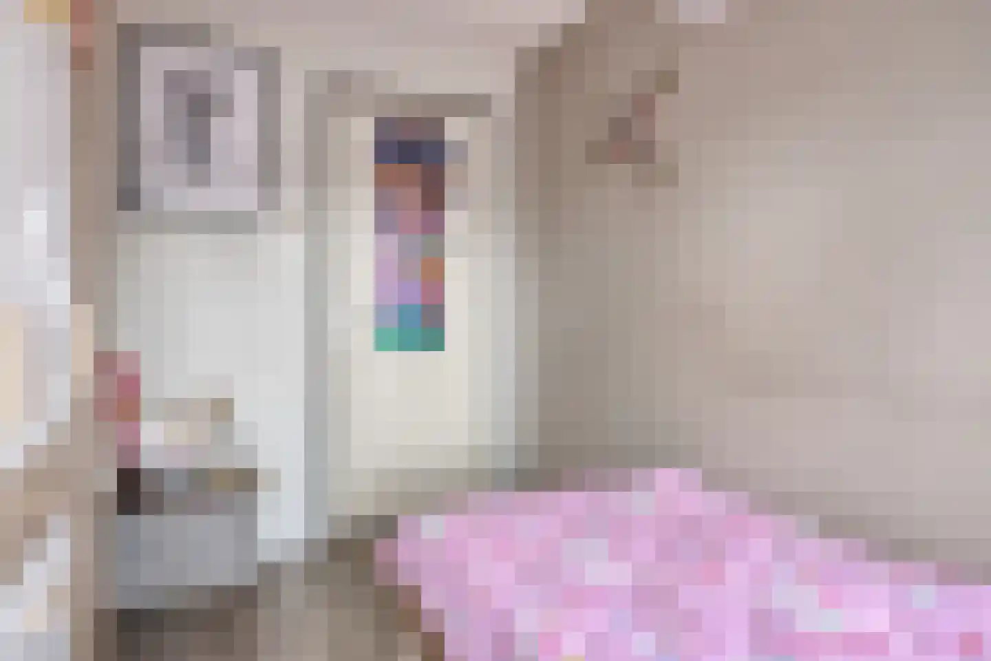 Julianalaan 34 Hulst thumbnail 19