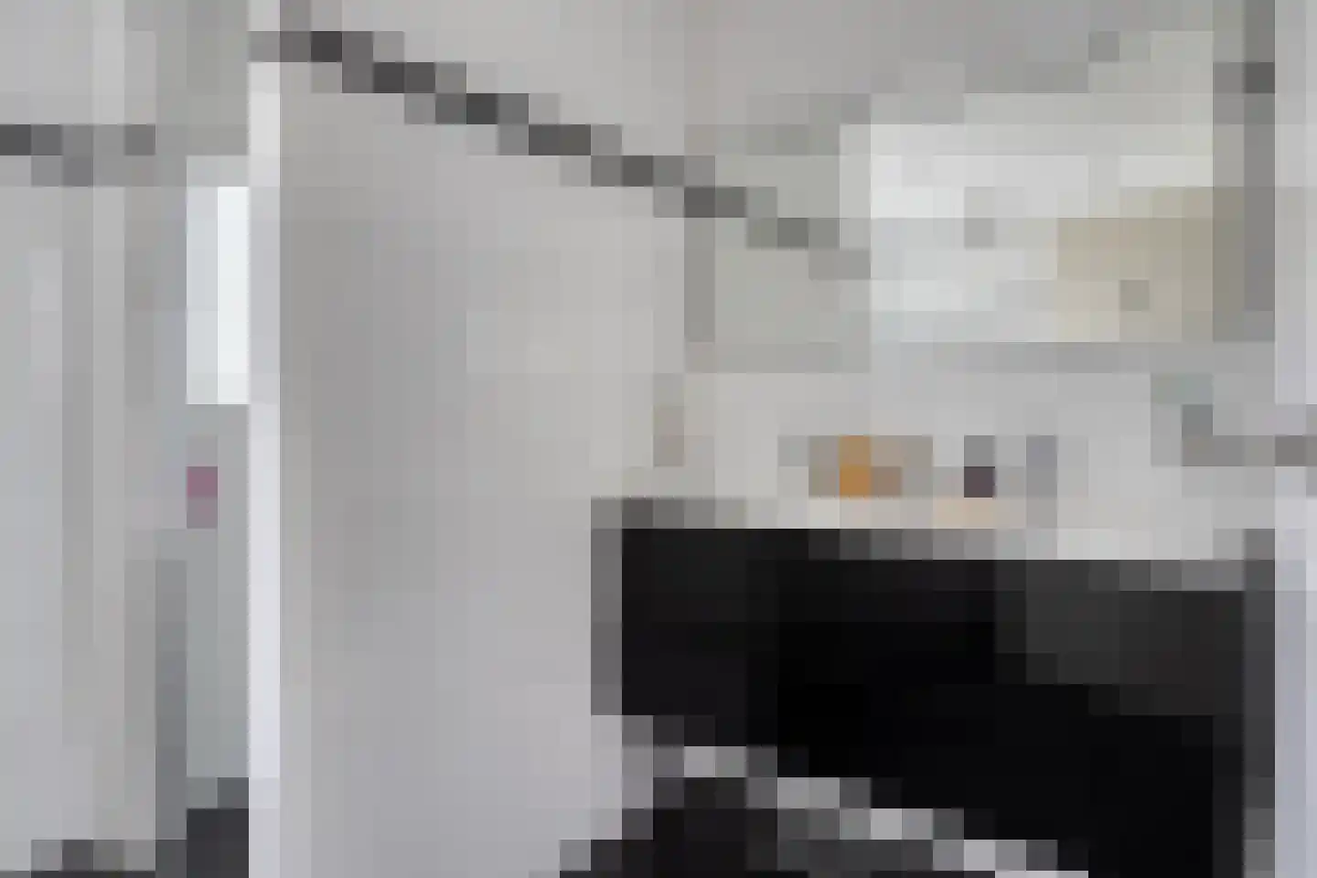 Julianalaan 34 Hulst thumbnail 23
