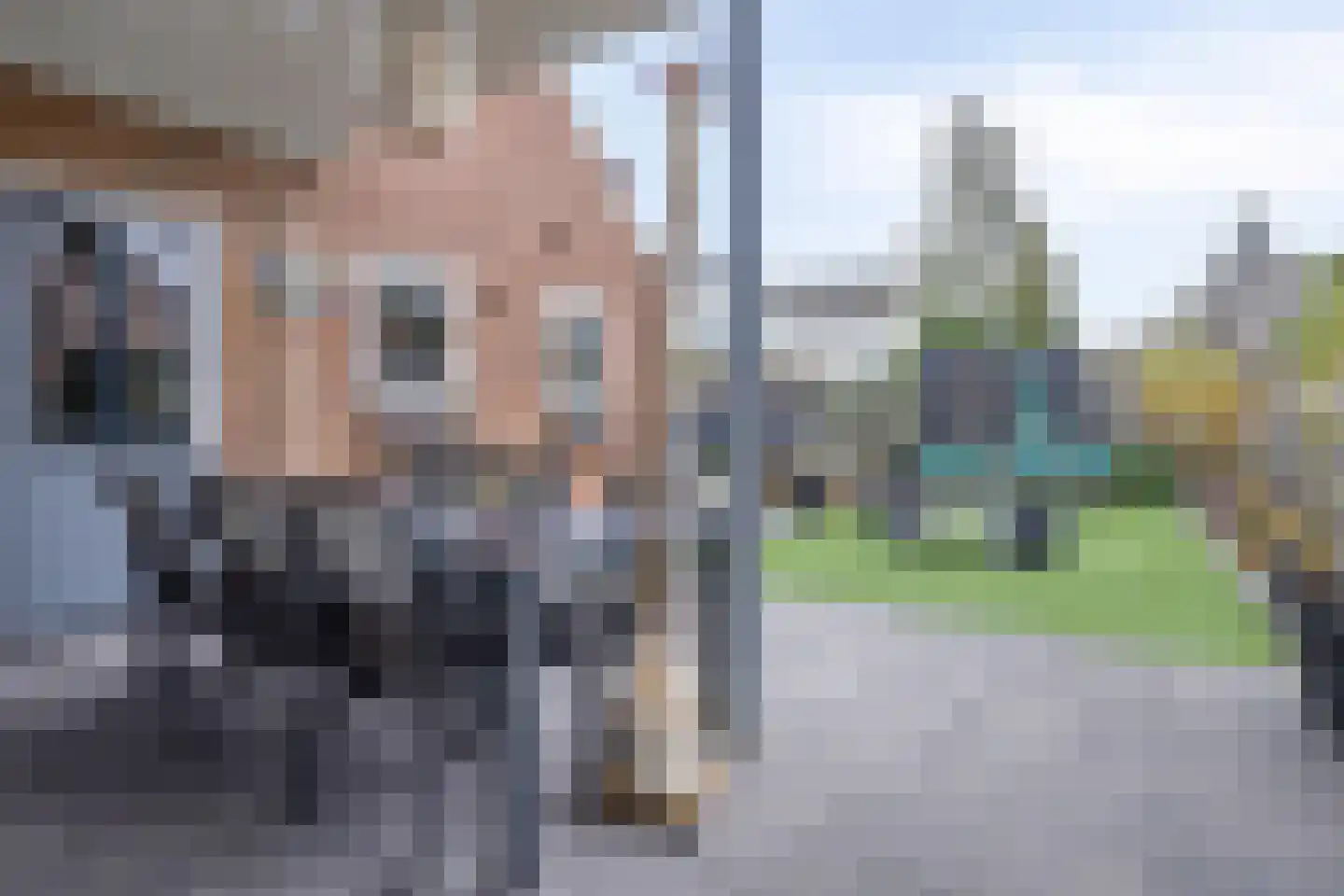 Julianalaan 34 Hulst thumbnail 26