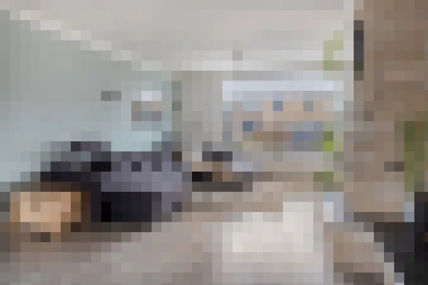 Julianalaan 34 Hulst thumbnail 4