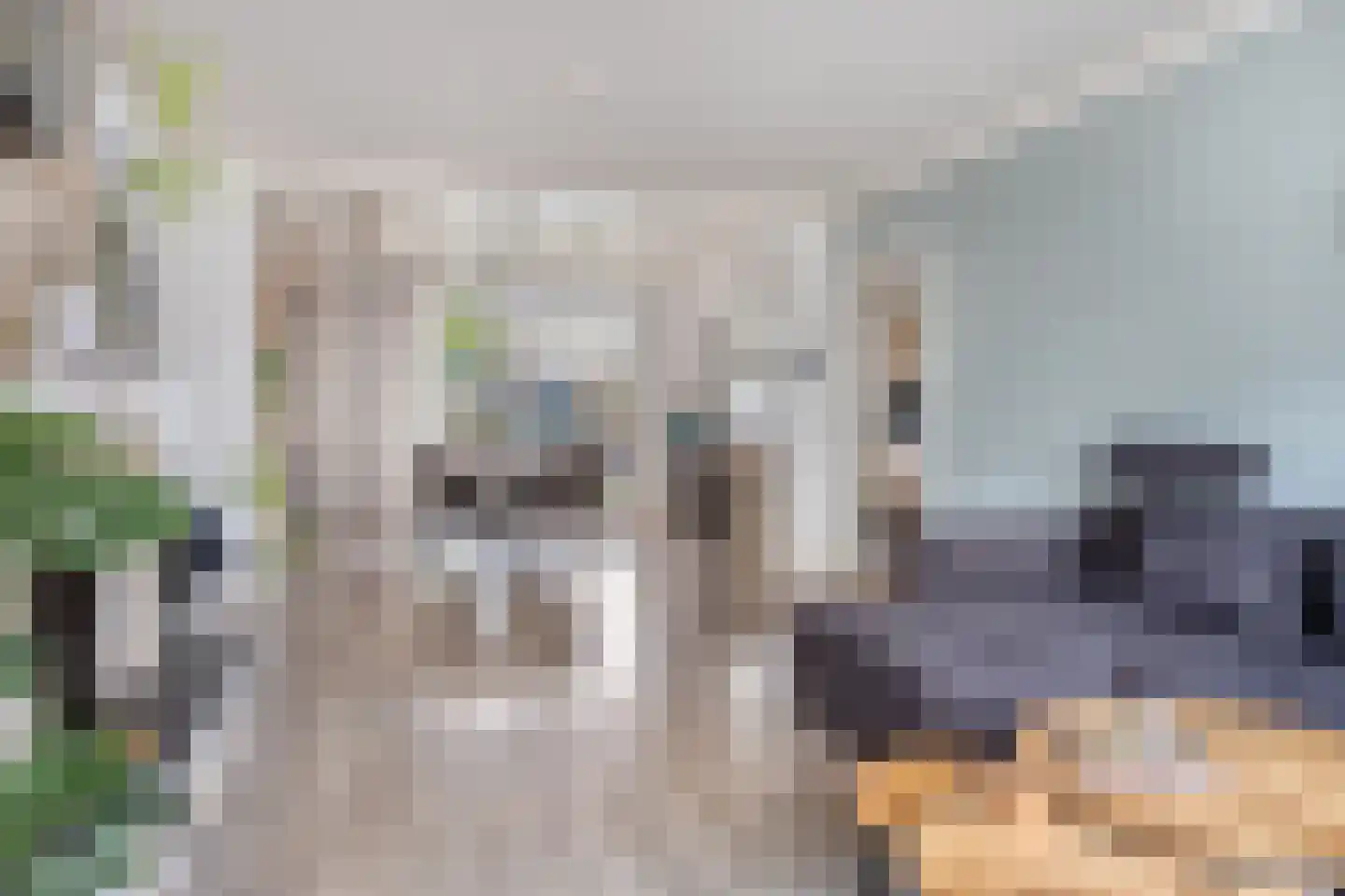 Julianalaan 34 Hulst thumbnail 5