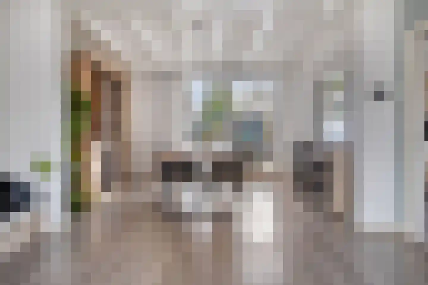 Julianalaan 34 Hulst thumbnail 7