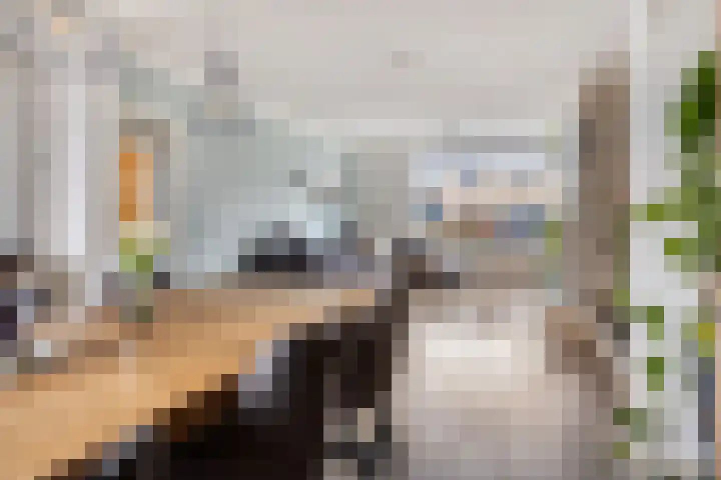 Julianalaan 34 Hulst thumbnail 8