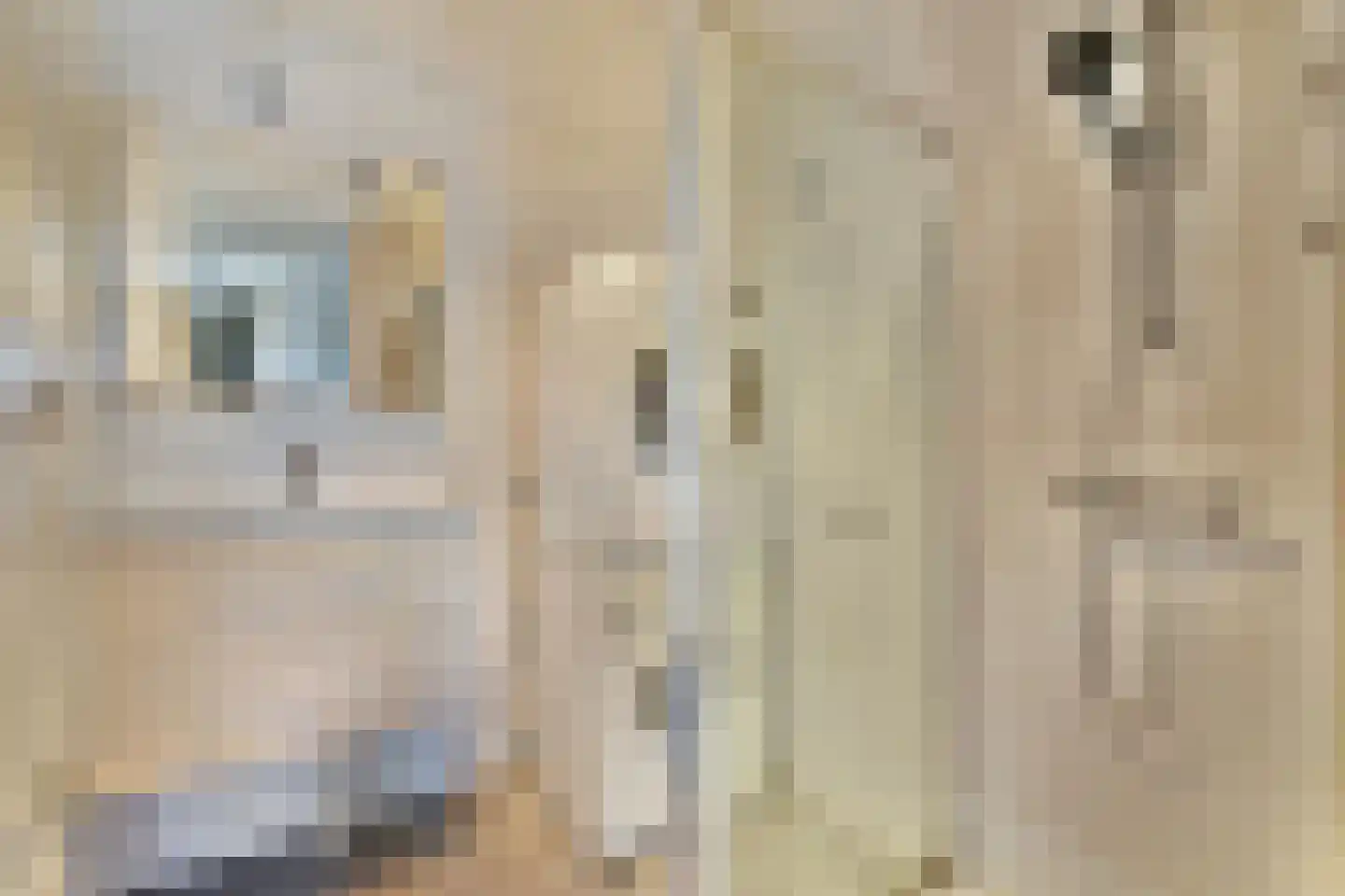 Julianalaan 35 Aalsmeer thumbnail 10