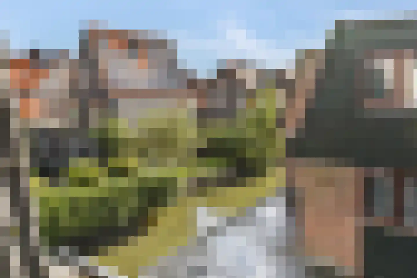 Julianalaan 35 Aalsmeer thumbnail 19