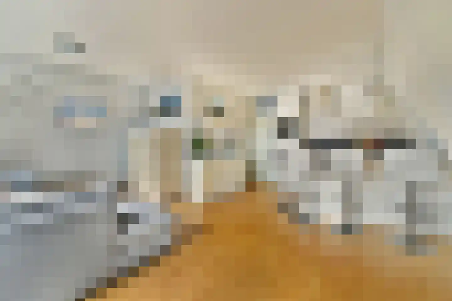Julianalaan 35 Aalsmeer thumbnail 4