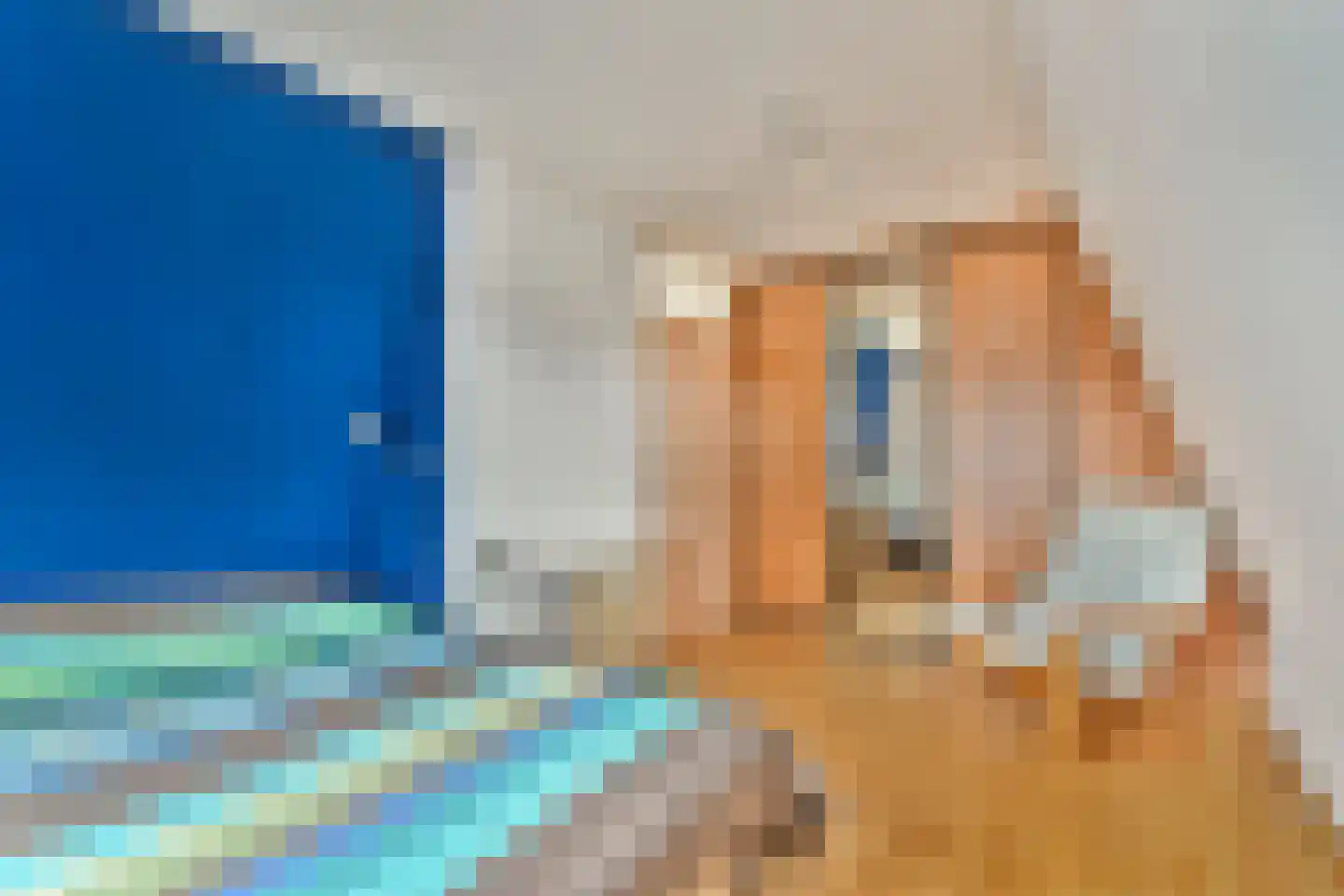 Julianalaan 35 Aalsmeer thumbnail 9