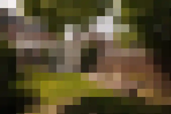 Julianalaan 35 Overveen thumbnail 16