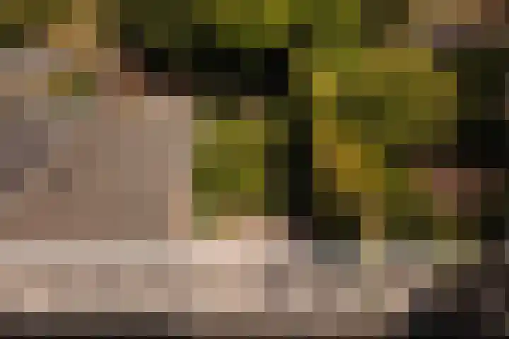 Julianalaan 35 Overveen thumbnail 22