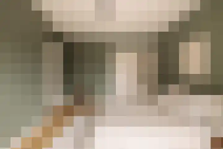 Julianalaan 35 Overveen thumbnail 27