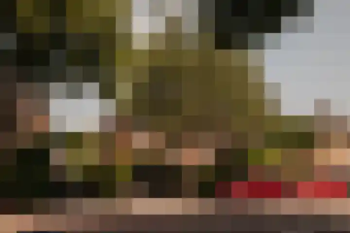 Julianalaan 35 Overveen thumbnail 33
