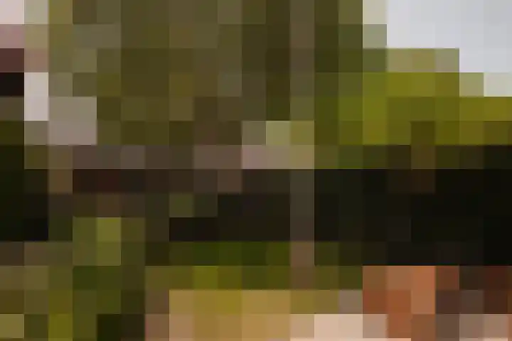 Julianalaan 35 Overveen thumbnail 4