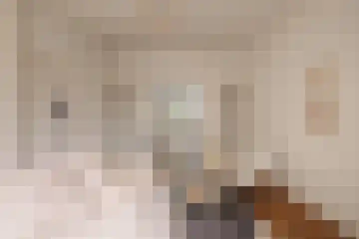Julianalaan 35 Overveen thumbnail 9