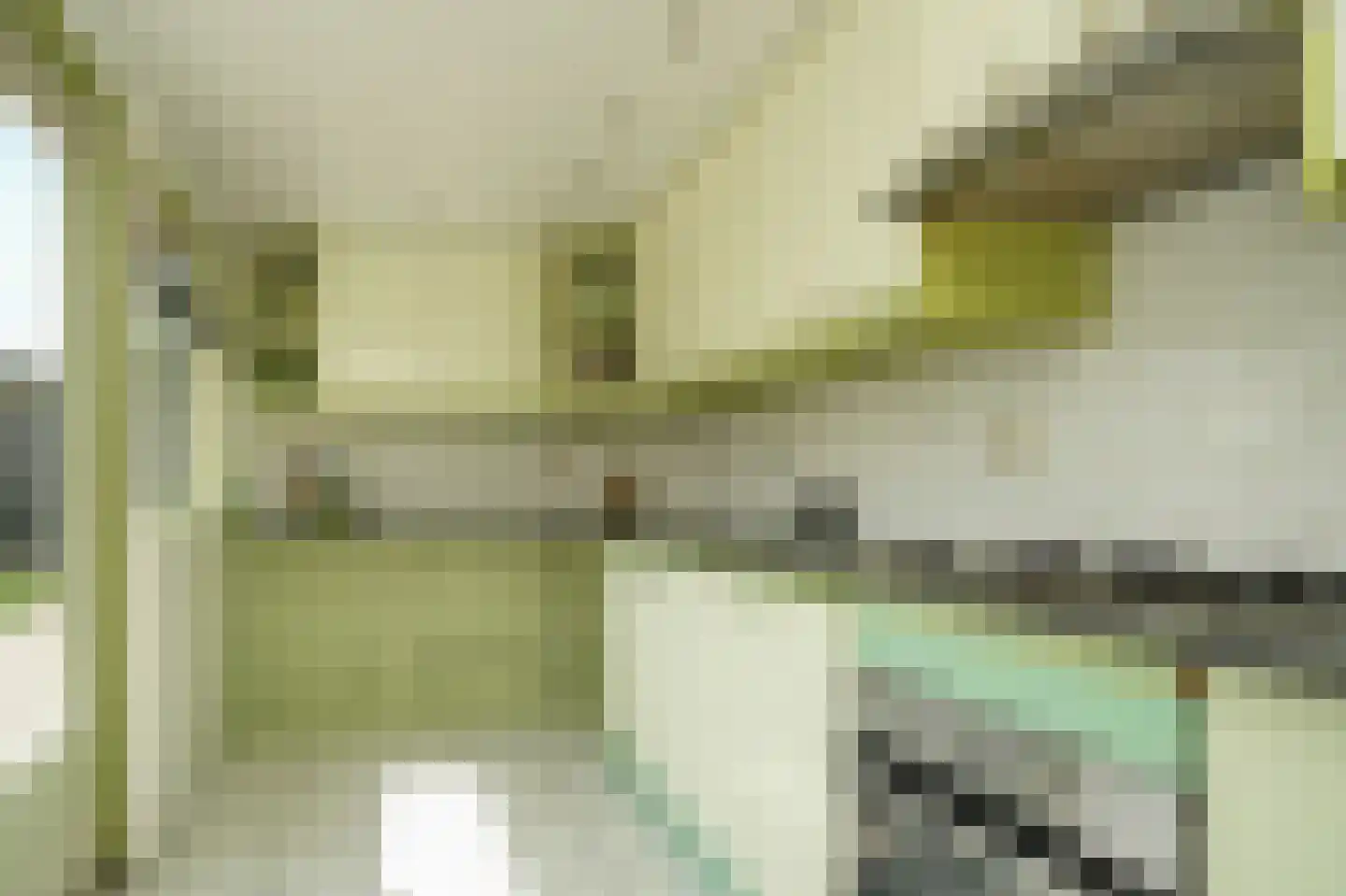 Julianalaan 35 Vleuten thumbnail 20