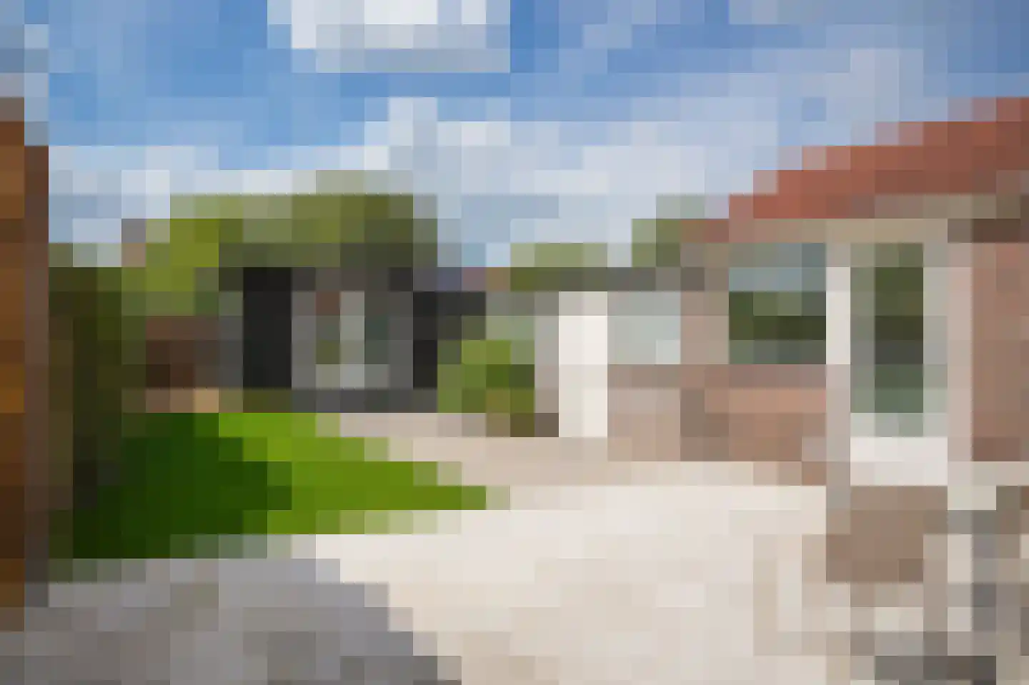 Julianalaan 35 Vleuten thumbnail 21