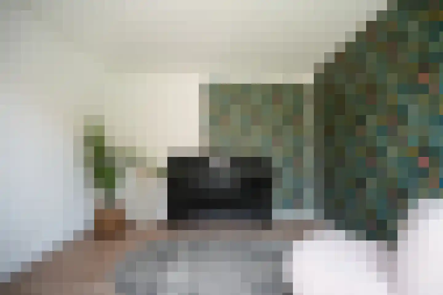 Julianalaan 35 Vleuten thumbnail 24