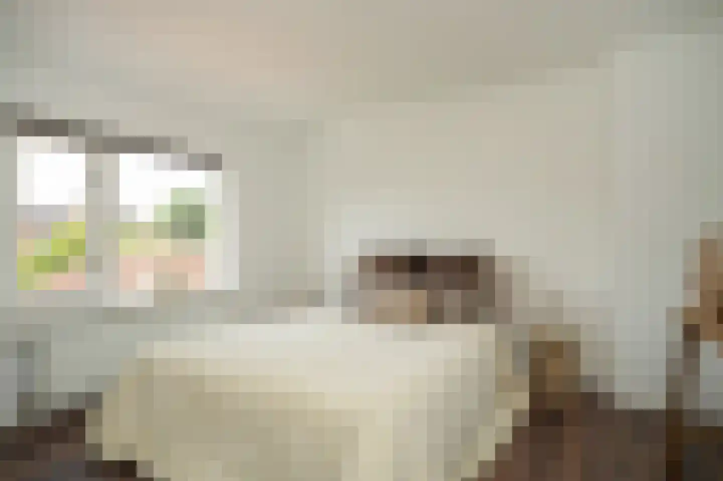Julianalaan 35 Vleuten thumbnail 27