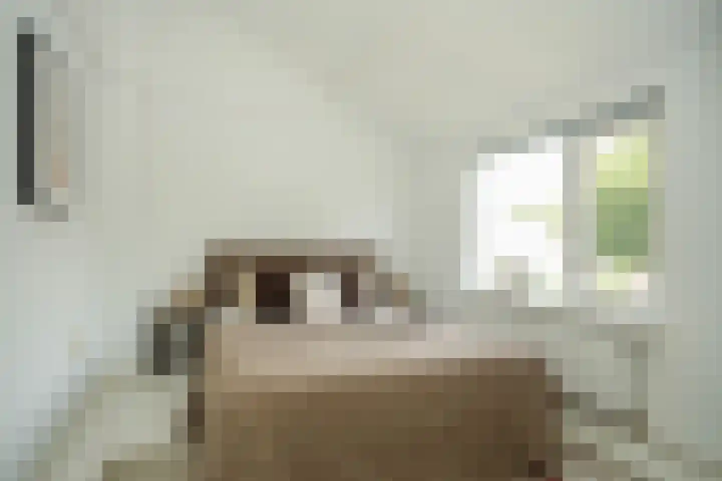Julianalaan 35 Vleuten thumbnail 30