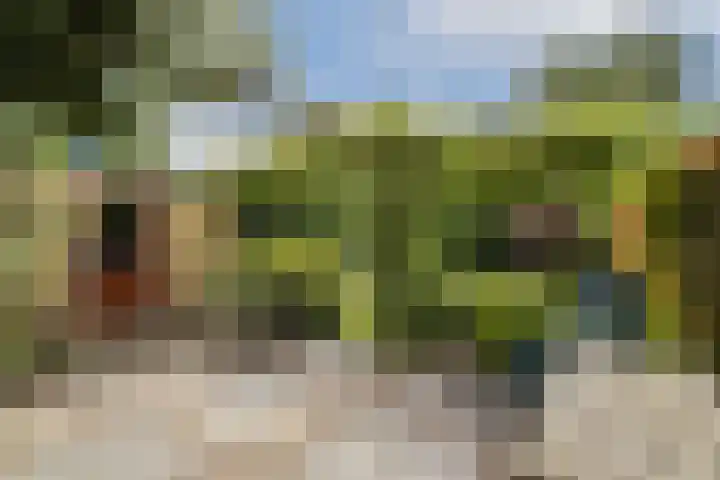 Julianalaan 36 De Rijp thumbnail 10