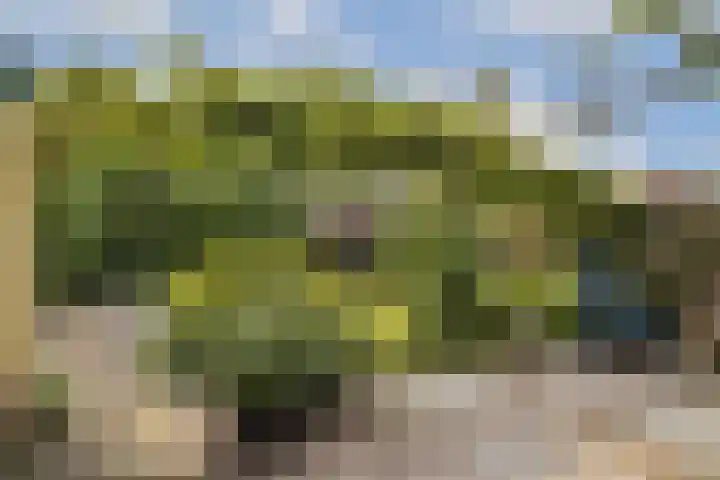 Julianalaan 36 De Rijp thumbnail 11