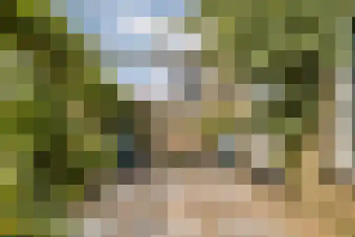 Julianalaan 36 De Rijp thumbnail 12