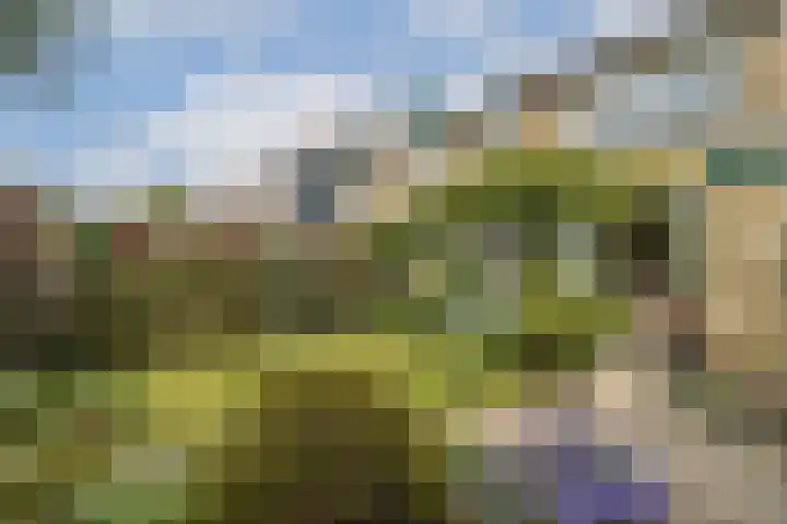 Julianalaan 36 De Rijp thumbnail 13