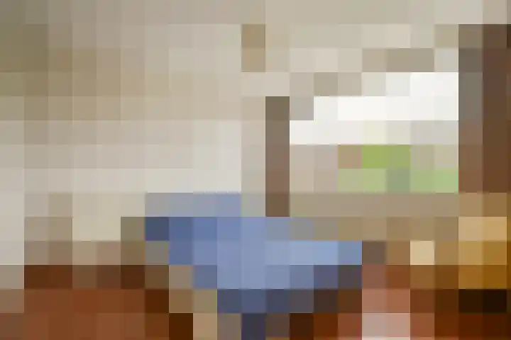 Julianalaan 36 De Rijp thumbnail 18