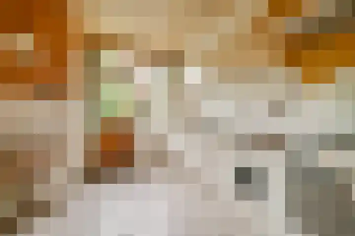 Julianalaan 36 De Rijp foto 3