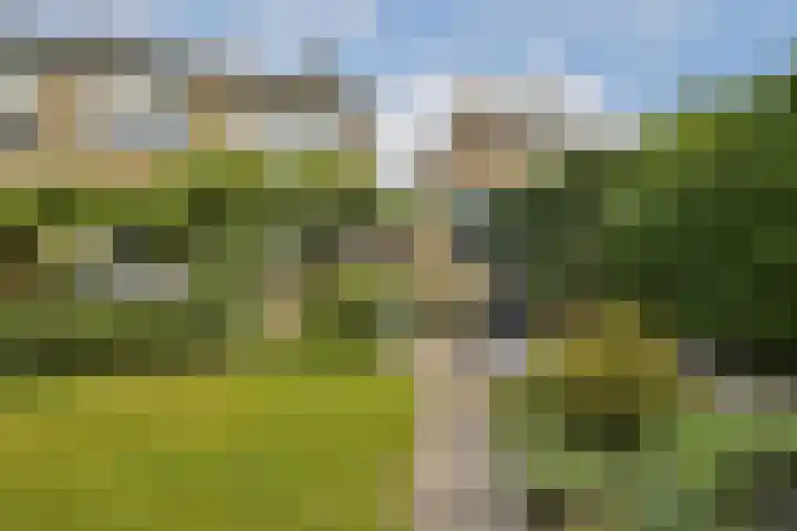 Julianalaan 36 De Rijp thumbnail 4